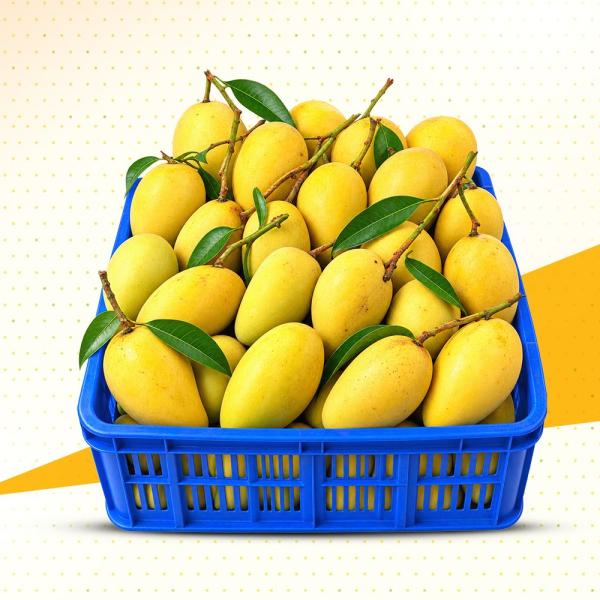 সুমিষ্ট কাটিমন আম (৪ কেজি প্রিমিয়াম প্যাকেজ)
